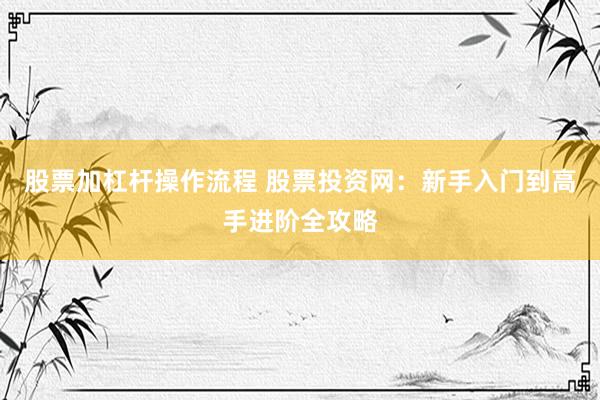 股票加杠杆操作流程 股票投资网：新手入门到高手进阶全攻略