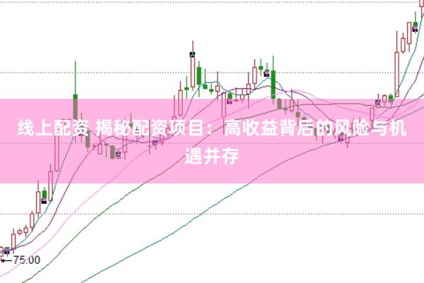 线上配资 揭秘配资项目：高收益背后的风险与机遇并存