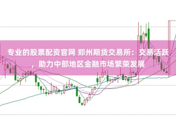 专业的股票配资官网 郑州期货交易所：交易活跃，助力中部地区金融市场繁荣发展