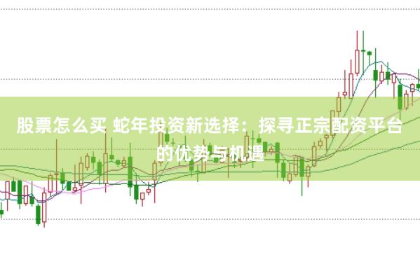 股票怎么买 蛇年投资新选择：探寻正宗配资平台的优势与机遇