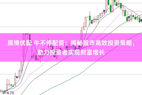 展博优配 牛不停配资：揭秘股市高效投资策略，助力投资者实现财富增长