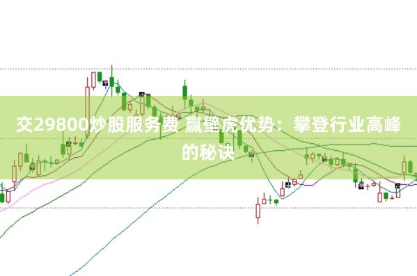 交29800炒股服务费 赢壁虎优势：攀登行业高峰的秘诀