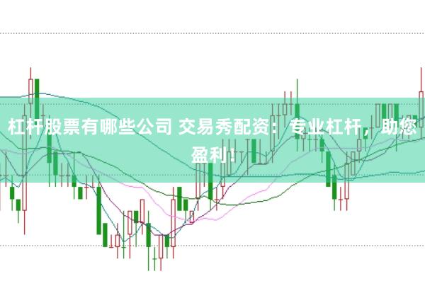 杠杆股票有哪些公司 交易秀配资：专业杠杆，助您盈利！