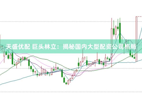 天盛优配 巨头林立：揭秘国内大型配资公司格局