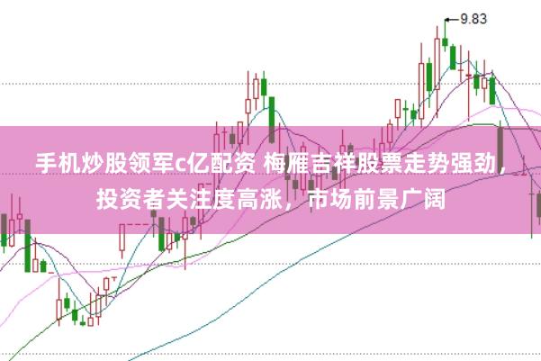 手机炒股领军c亿配资 梅雁吉祥股票走势强劲，投资者关注度高涨，市场前景广阔