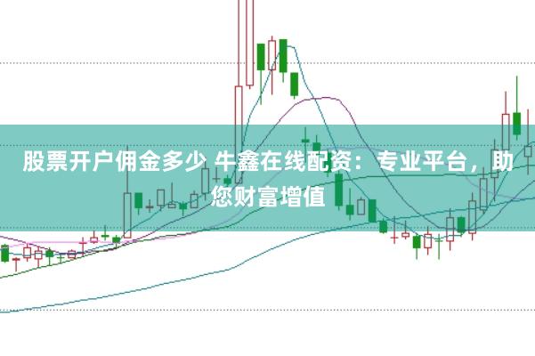 股票开户佣金多少 牛鑫在线配资：专业平台，助您财富增值