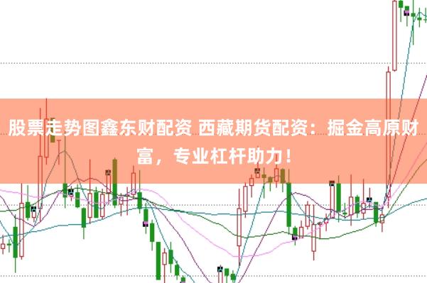 股票走势图鑫东财配资 西藏期货配资：掘金高原财富，专业杠杆助力！