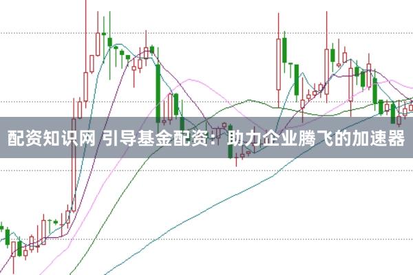 配资知识网 引导基金配资：助力企业腾飞的加速器