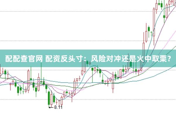 配配查官网 配资反头寸：风险对冲还是火中取栗？
