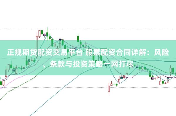 正规期货配资交易平台 股票配资合同详解:风险、条款与投资策略一网打尽