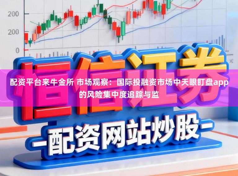 配资平台来牛金所 市场观察：国际投融资市场中天眼盯盘app的风险集中度追踪与监